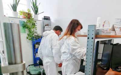 Measures we have taken to face the COVID-19 pandemic